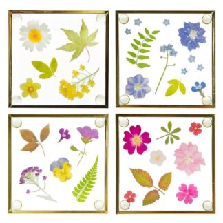 Flower Print Glass Coasters, Set of 4