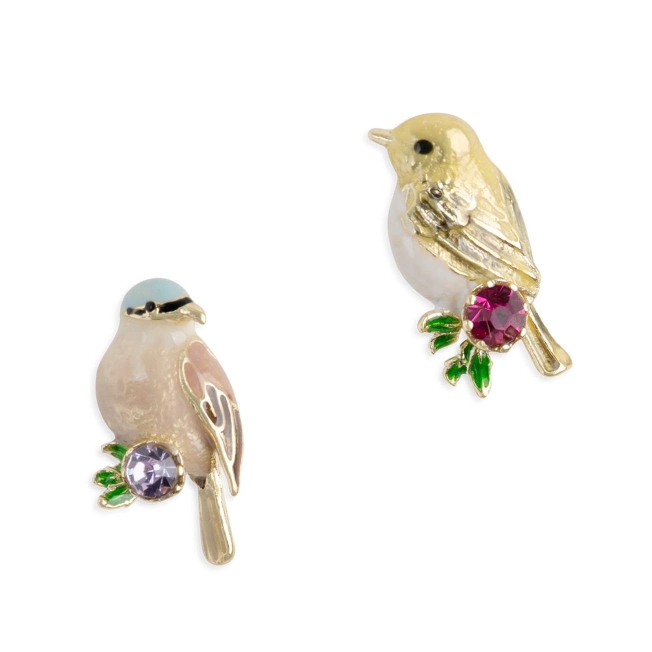 Bill Skinner Goldcrest & Coal Tit Duet