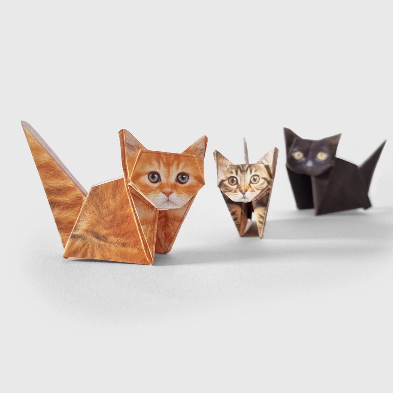 Paper Cats | Perfect For Cat Lovers | Cute Diy Origami Kit - Image 2